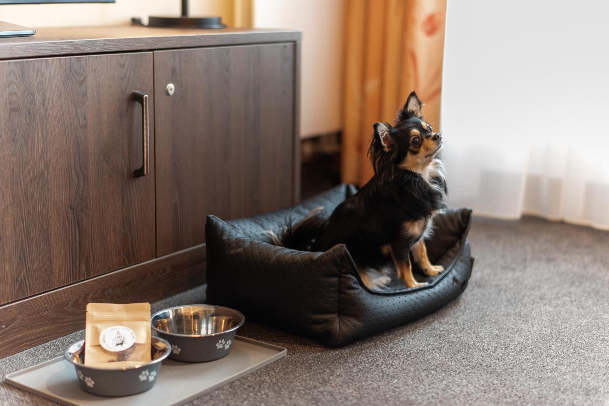 Familienapartment Nahe Der Frauenkirche Drezno Zewnętrze zdjęcie